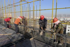 金昌市行政中心工程全速推進，一建公司聚力攻堅顯擔當